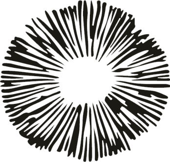 BloomyWild Logo