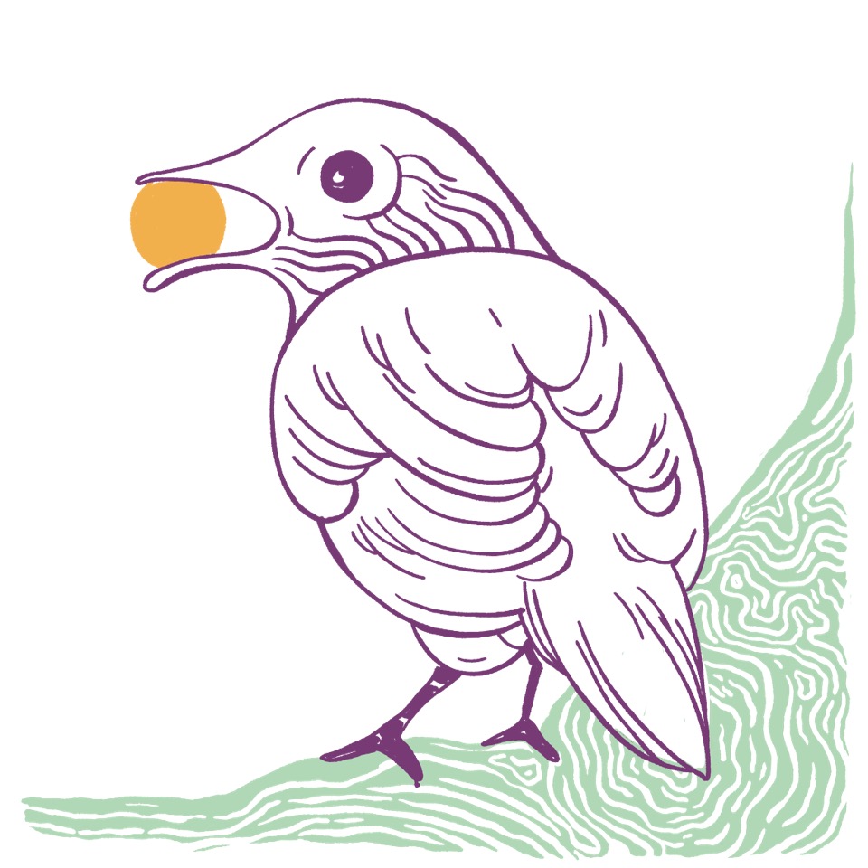 corso-vino-naturale
