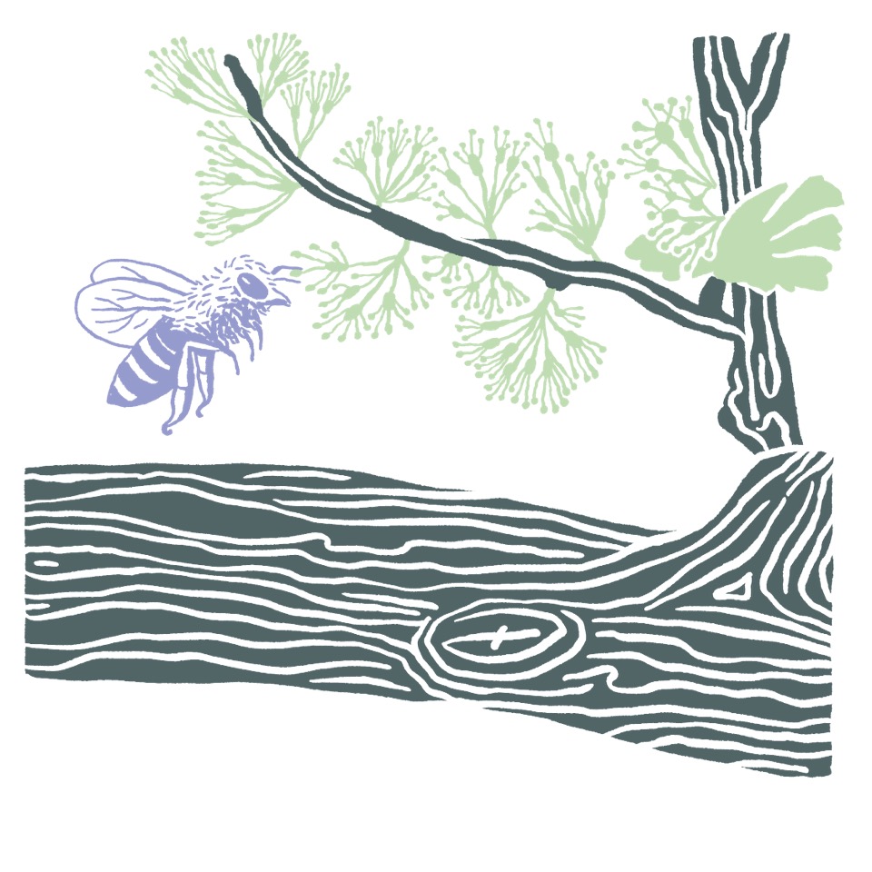 introduzione-vino-naturale
